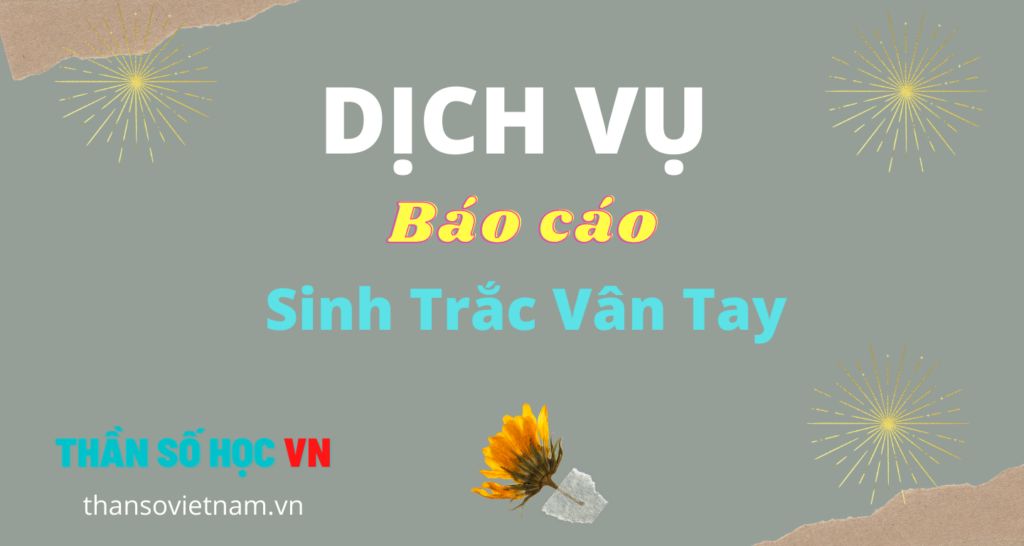 Dịch Vụ Báo Cáo Sinh Trắc Vân Tay