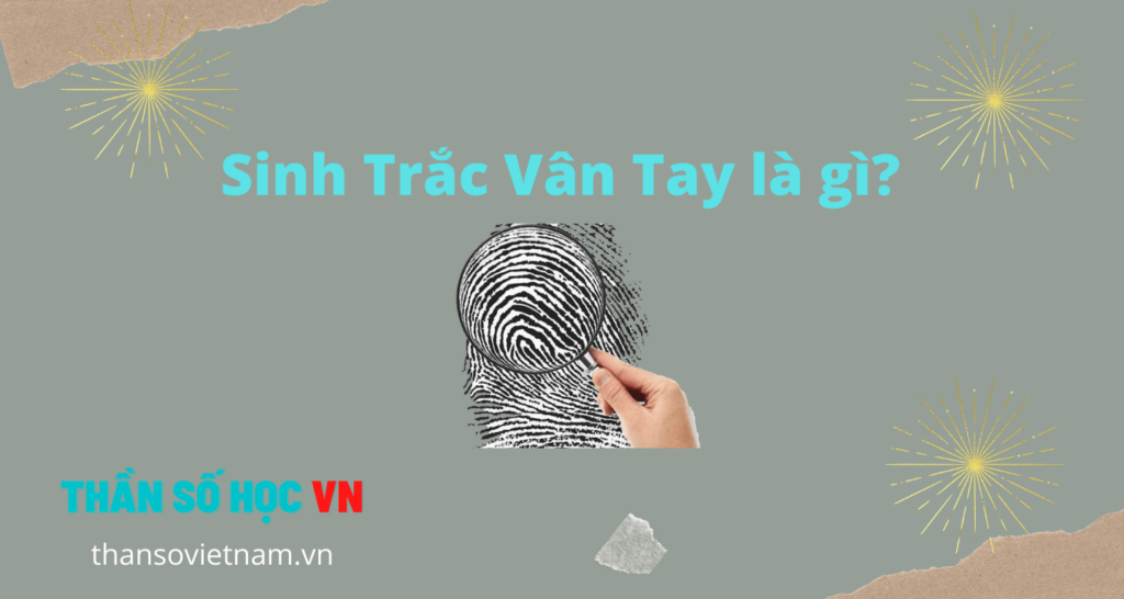 Sinh Trắc Vân Tay Là Gì?